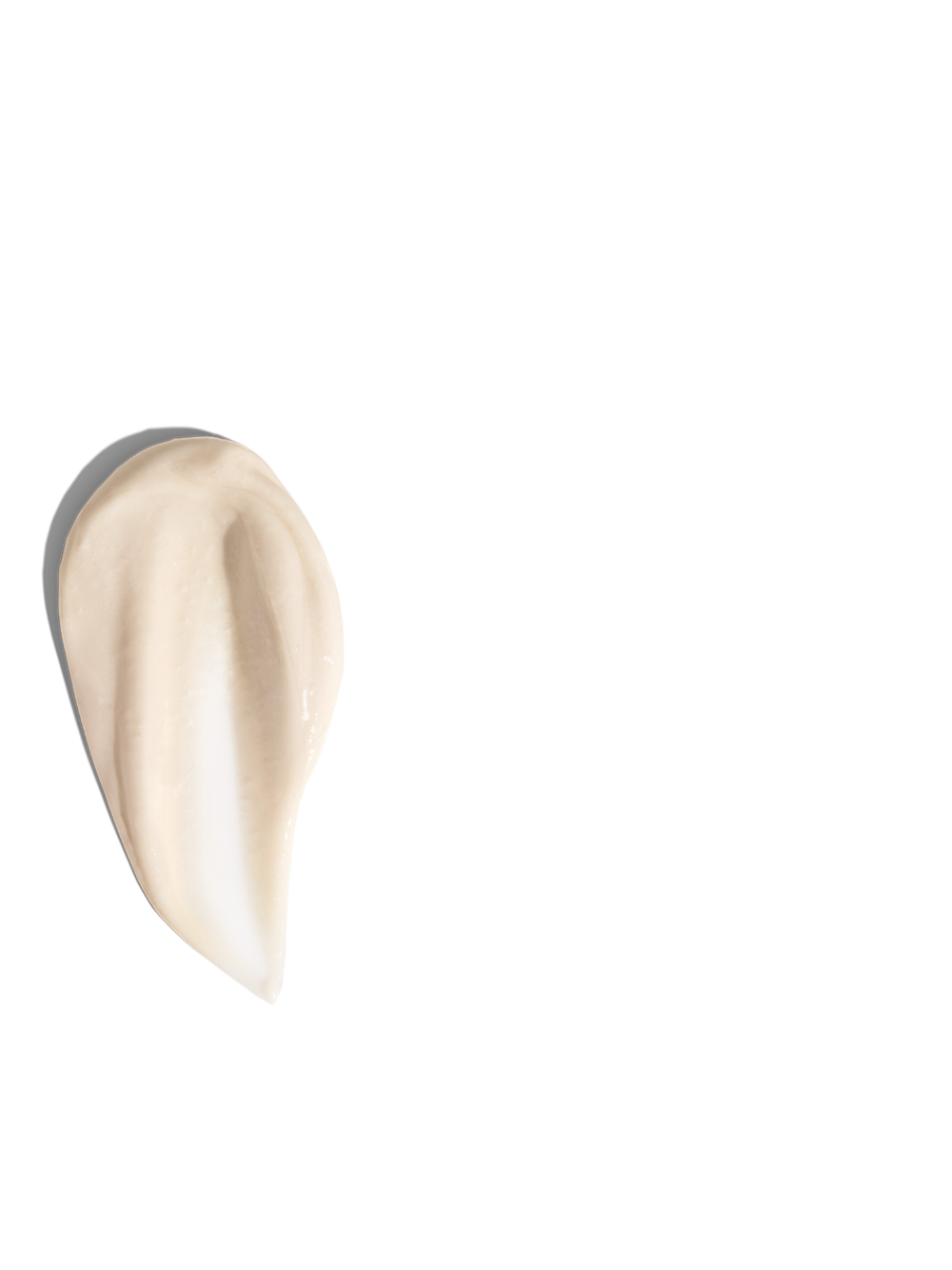 THE ANSWERS TO ALL YOUR QUESTIONS